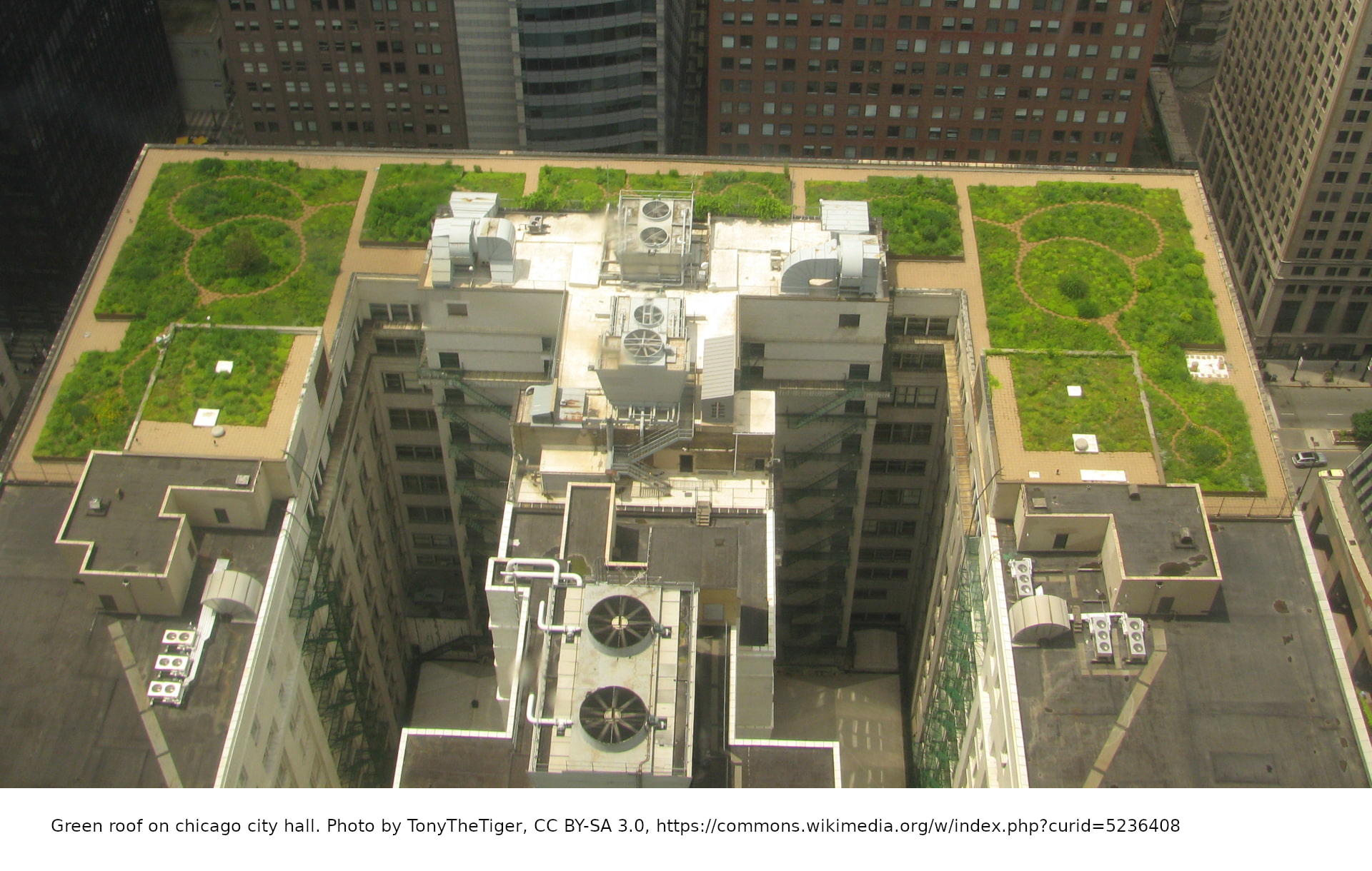 E-01b Chicago_City_Hall_Green_Roof