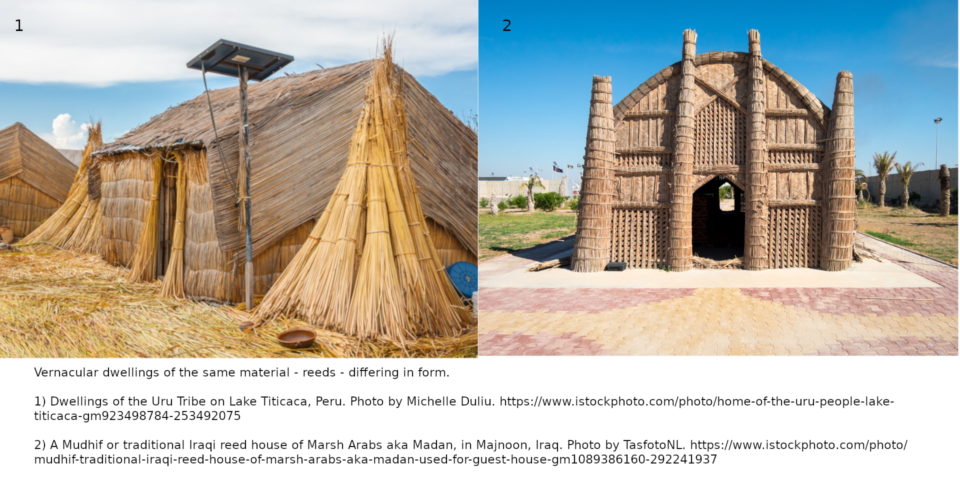 Vernacular Reed houses