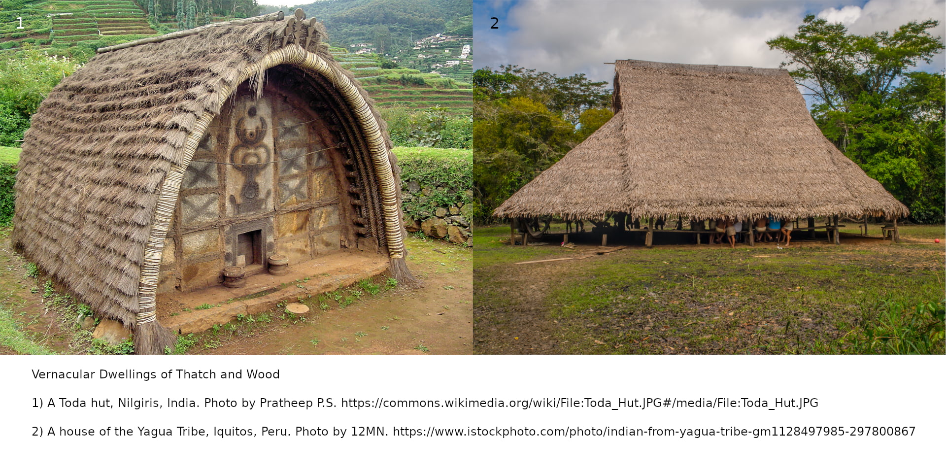 Vernacular Thatch and wood dwellings